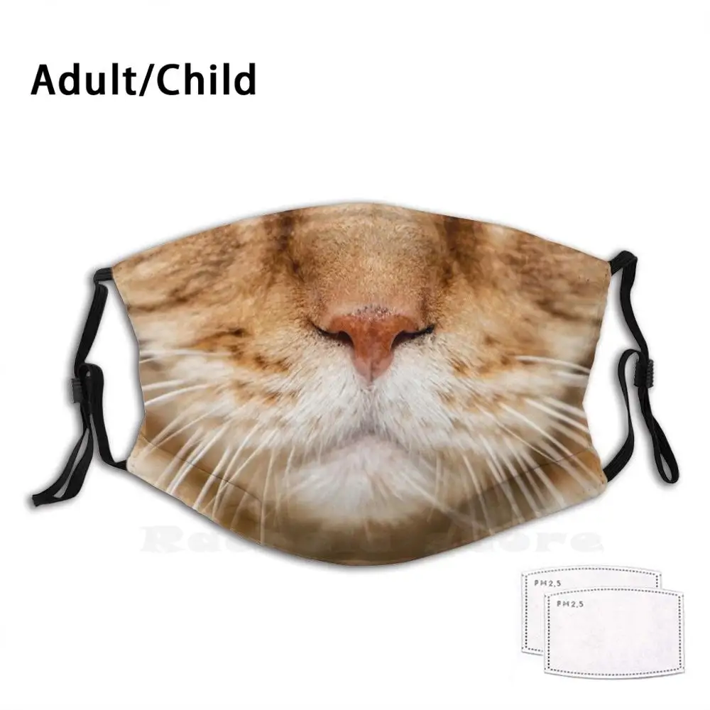 

Detail Of The Muzzle Of A Maine Coon Cat Funny Print Reusable Filter Face Mask Muzzle Young White Fluffy Cat Cute Breed Coon