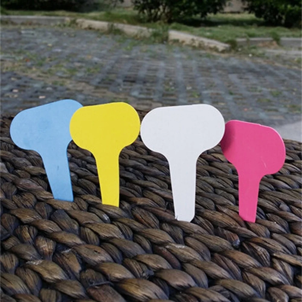 100 Pcs Garden Labels Europe T Shape Gardening Potting Label Sorting Sign Tag Ticket Plastic Marker Writing Plug In Card
100 Pcs Garden Labels Europe T Shape Gardening Potting Label Sorting Sign Tag Ticket Plastic Marker Writing Plug In Card
