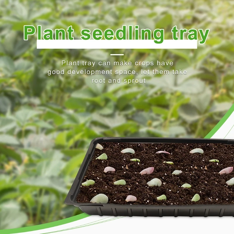 5pcs Plastic Seedling Tray Seeds Starters Growing Trays Mesh Bottom For Microgreens Soil Blocks Wheatgrass Garden Accessorie
5pcs Plastic Seedling Tray Seeds Starters Growing Trays Mesh Bottom For Microgreens Soil Blocks Wheatgrass Garden Accessorie