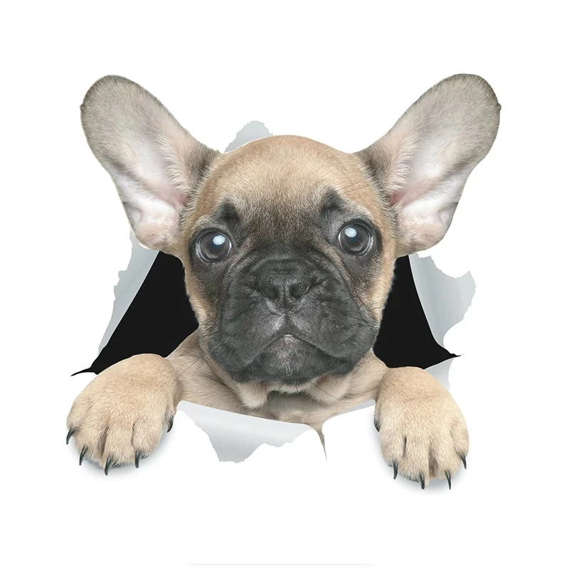 S50513# 13/15/17CM Personality PVC Decal 3D Dog Cute French Bulldog Waterproof Car Sticker on Motorcycle Laptop Decorative
S50513# 13/15/17CM Personality PVC Decal 3D Dog Cute French Bulldog Waterproof Car Sticker on Motorcycle Laptop Decorative