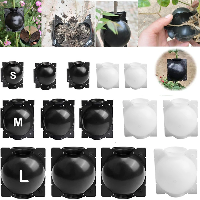 Коробка для выращивания корней растений, Прививка, укоренение, шар, высокое давление, чехол для разведения сада, коробка для выращивания рас...
Коробка для выращивания корней растений, Прививка, укоренение, шар, высокое давление, чехол для разведения сада, коробка для выращивания рас...