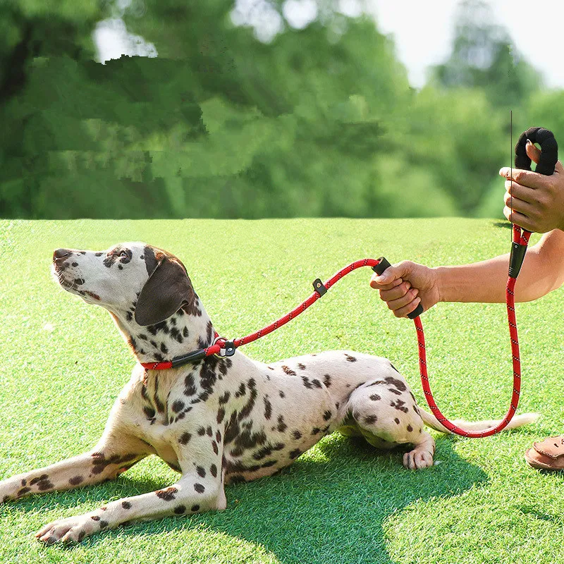 Dog Leash P Chain Dog Leash and Collar Set Reflective Leashes for Large Dogs Walking Soft Handle Double Leashes for Dogs Walker
Dog Leash P Chain Dog Leash and Collar Set Reflective Leashes for Large Dogs Walking Soft Handle Double Leashes for Dogs Walker
