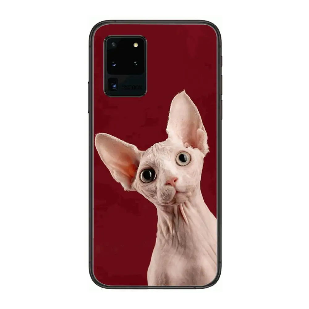 Sphinx cat Sexy Case Phone cover hull For SamSung Galaxy S 6 7 8 9 10 20 21 Plus Edge E note 5G Lite Ultra black soft bumper
Sphinx cat Sexy Case Phone cover hull For SamSung Galaxy S 6 7 8 9 10 20 21 Plus Edge E note 5G Lite Ultra black soft bumper