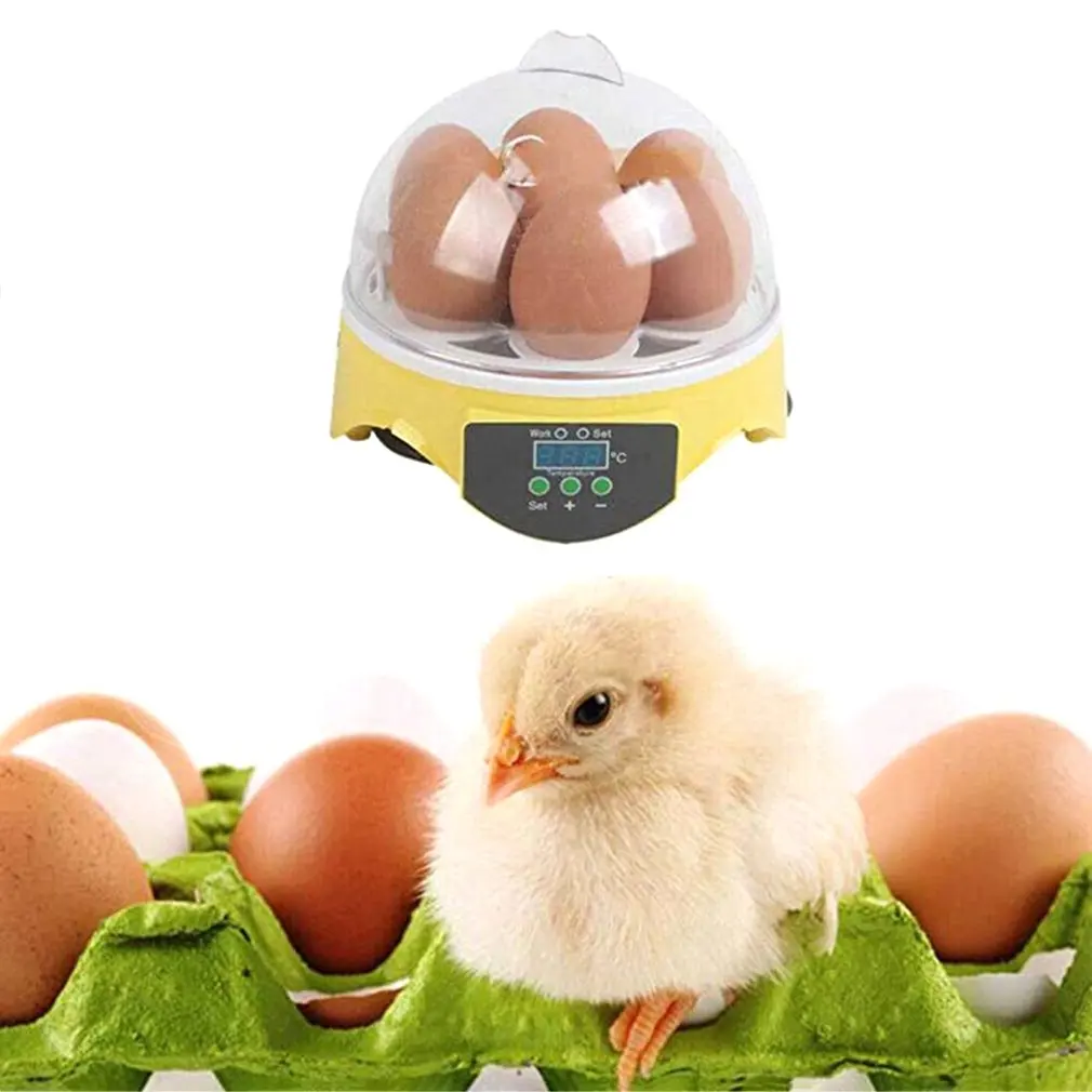 Mini Digital 7 Eggs Incubator Smart Temperature Control Farm Duck Chicken Hatcher
Mini Digital 7 Eggs Incubator Smart Temperature Control Farm Duck Chicken Hatcher