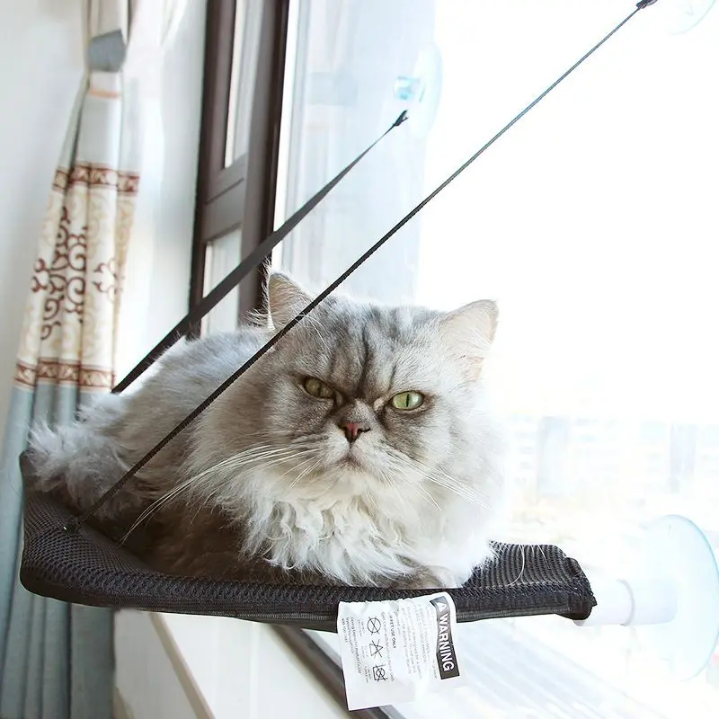 Cat Bed Window Mounted Cat Hammock Bed Pet Seat Super Suction Cup Hanging Lounger Soft Warm Bed For Cats Small Dogs Bearing 20kg
Cat Bed Window Mounted Cat Hammock Bed Pet Seat Super Suction Cup Hanging Lounger Soft Warm Bed For Cats Small Dogs Bearing 20kg