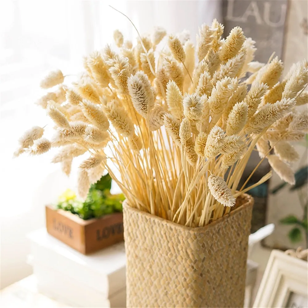 50 Pcs Natural Dried Gemstone Grass Bouquet Dry Flower Display Decoration For Home Easter Valentine's Day Gift Free shipping
50 Pcs Natural Dried Gemstone Grass Bouquet Dry Flower Display Decoration For Home Easter Valentine's Day Gift Free shipping