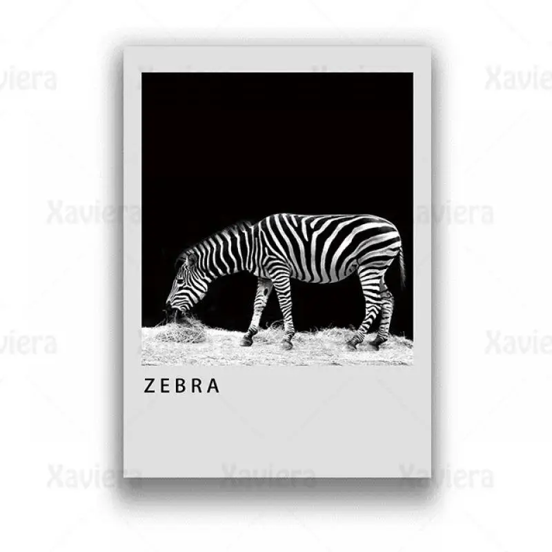 Modern Deco Painting Canvas Art Print Zebra Z Breath Line Minimalist Picture Wall Art Home Decoration Office Mural Animal Poster
Modern Deco Painting Canvas Art Print Zebra Z Breath Line Minimalist Picture Wall Art Home Decoration Office Mural Animal Poster