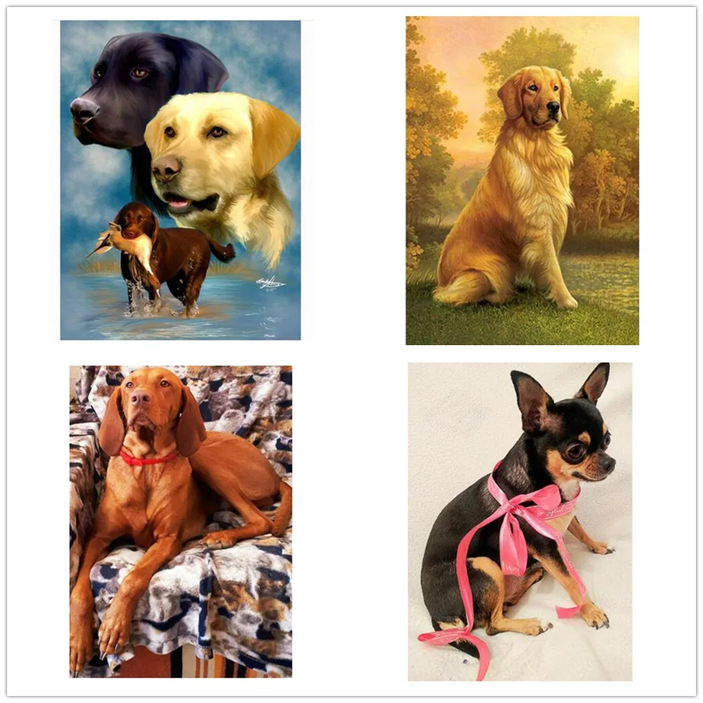 Dpsupr Full Square/Round 5D DIY Diamond Embroidery "Animal Dog" Diamond Painting Cross Stitch Moasic Rhinestone Decor Gift
Dpsupr Full Square/Round 5D DIY Diamond Embroidery "Animal Dog" Diamond Painting Cross Stitch Moasic Rhinestone Decor Gift