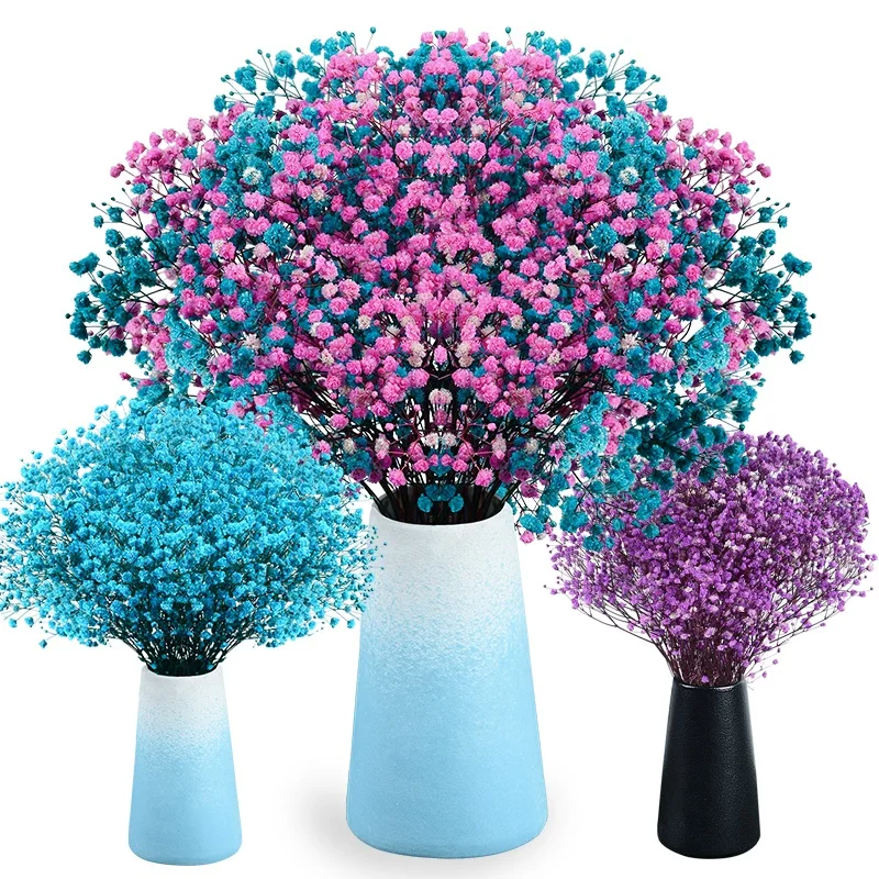 Dekoration 80g Real Natural Fresh Preserve Floral Gedroogde Babysbreath Bouquet Gypsophila Bloemen Gypsophile Wedding Decoratio
Dekoration 80g Real Natural Fresh Preserve Floral Gedroogde Babysbreath Bouquet Gypsophila Bloemen Gypsophile Wedding Decoratio