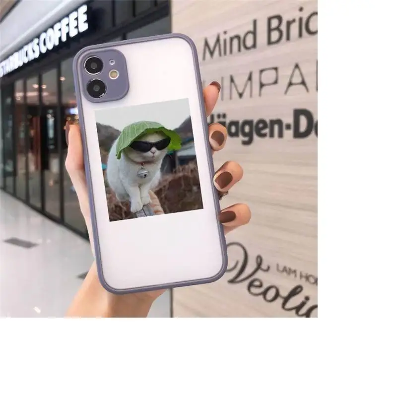 Cute Cats New Year Gifts Phone Case For iPhone 12 11 Mini Pro XR XS Max 7 8 Plus X Matte transparent Gray Back Cover
Cute Cats New Year Gifts Phone Case For iPhone 12 11 Mini Pro XR XS Max 7 8 Plus X Matte transparent Gray Back Cover