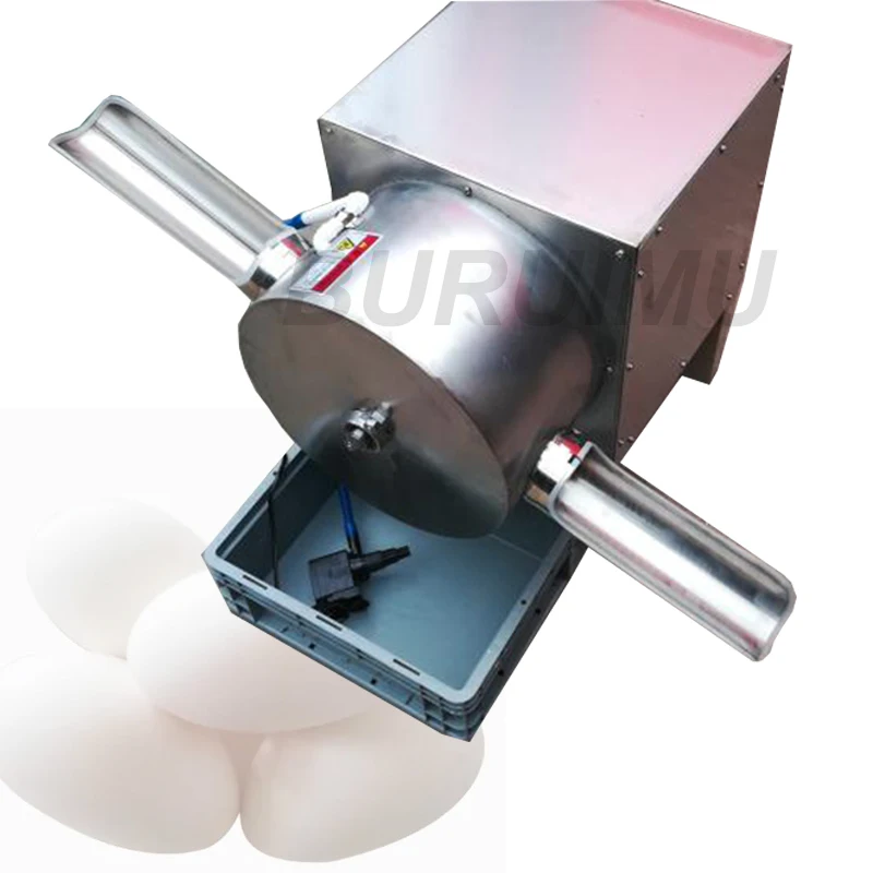 Single Row Electric Egg Washing Machine Chicken Duck Goose Egg Washer Egg Cleaner Wash Maker Poultry Farm
Single Row Electric Egg Washing Machine Chicken Duck Goose Egg Washer Egg Cleaner Wash Maker Poultry Farm