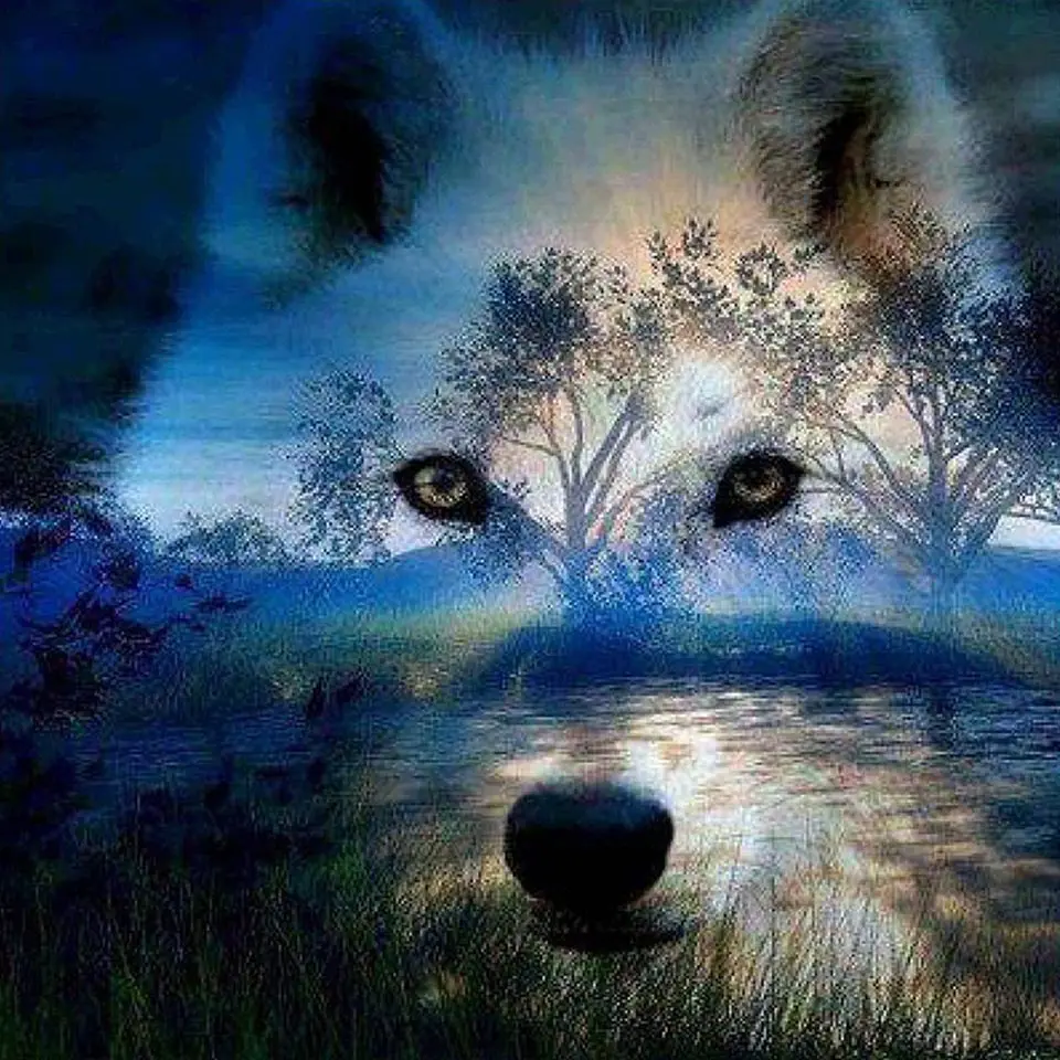 5D DIY Diamond Painting Forest Wolf Head Diamond Mosaic Handmade Cross Stitch Full Embroidery Rhinestones Home Decor Gift
5D DIY Diamond Painting Forest Wolf Head Diamond Mosaic Handmade Cross Stitch Full Embroidery Rhinestones Home Decor Gift