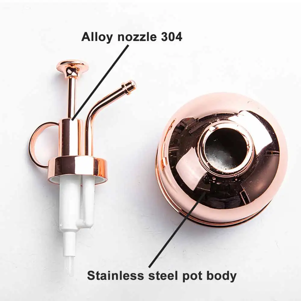 300ML Watering Pot Pressing Stainless Steel Garden Sprayer for Flower Plants Garden Planting Tools Indoor Outdoor
300ML Watering Pot Pressing Stainless Steel Garden Sprayer for Flower Plants Garden Planting Tools Indoor Outdoor