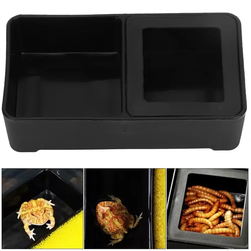 Crawler Food Tank Rectangular Double Lattice Rectangular Tortoise Palace Keeper Spider Horned Frog Snake Small Feeder
Crawler Food Tank Rectangular Double Lattice Rectangular Tortoise Palace Keeper Spider Horned Frog Snake Small Feeder