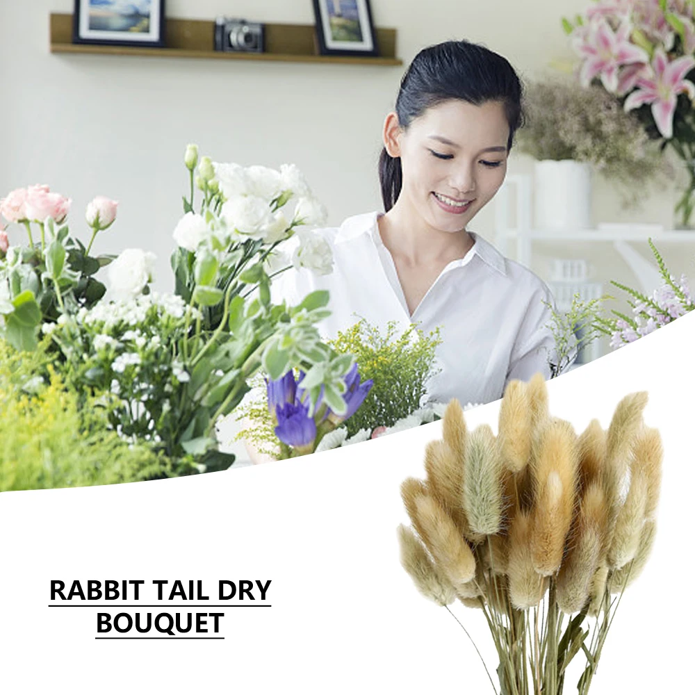 60Pcs Rabbit Tail Grass Bunny Tails Dried Flower Bouquet Lagurus Flower Arrangement Supplies Photography Props Home Decoration
60Pcs Rabbit Tail Grass Bunny Tails Dried Flower Bouquet Lagurus Flower Arrangement Supplies Photography Props Home Decoration