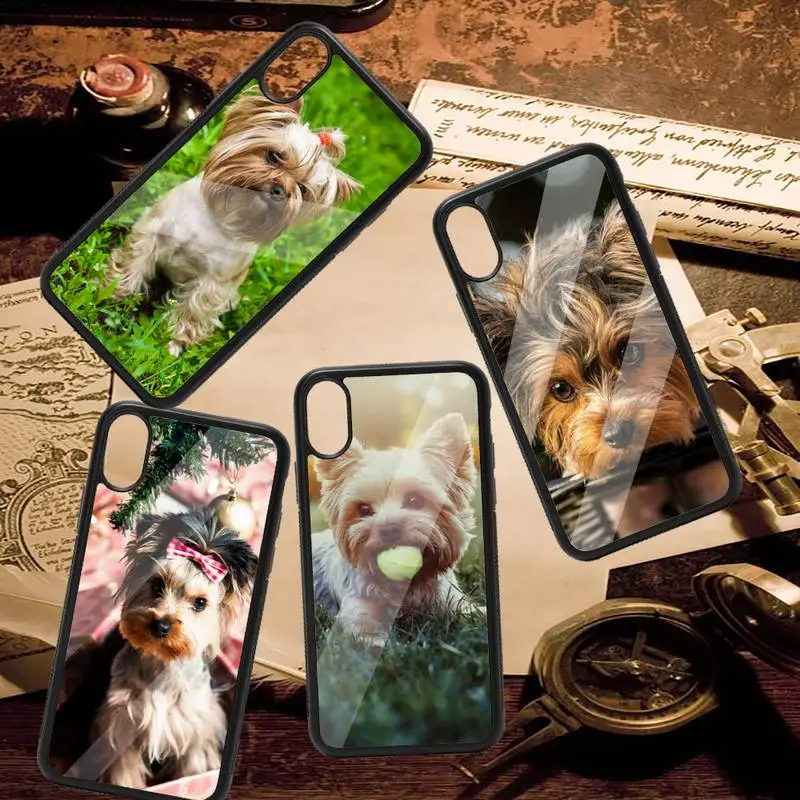 Yorkshire Terrier Dog cute animal Phone Case PC for iPhone 11 12 pro XS MAX 8 7 6 6S Plus X 5S SE 2020 XR
Yorkshire Terrier Dog cute animal Phone Case PC for iPhone 11 12 pro XS MAX 8 7 6 6S Plus X 5S SE 2020 XR