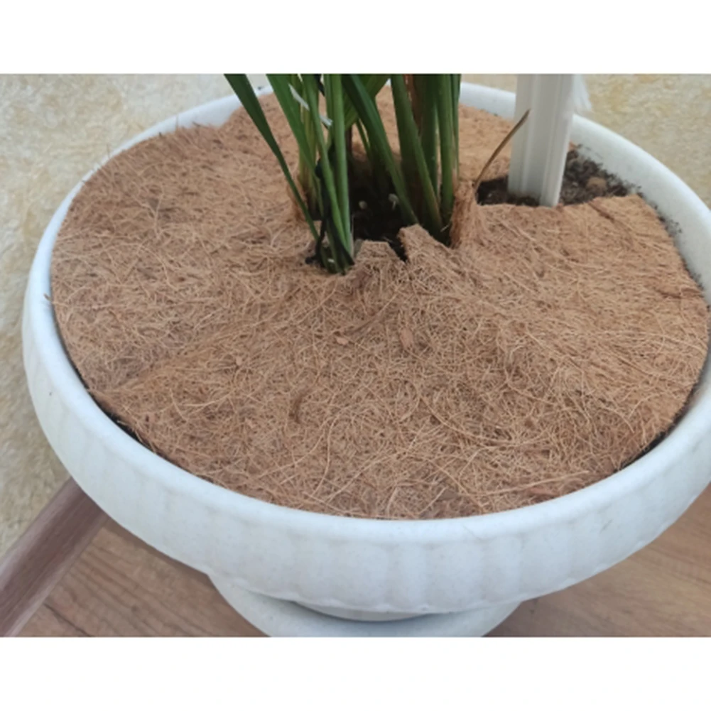 6pcs/Set Coconut Mulch Cover Coconut Mat Winter Cold Protection Plant Cover Disc for Gardening Trees Flower Pot Mulch Disk
6pcs/Set Coconut Mulch Cover Coconut Mat Winter Cold Protection Plant Cover Disc for Gardening Trees Flower Pot Mulch Disk