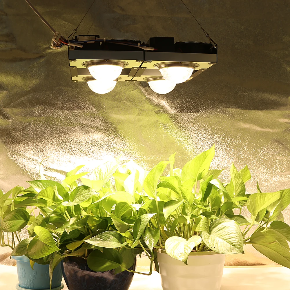 CXB3590 COB светодиодный Grow светильник полный спектр 300W 400W Citizen 1212 светодиодный для сельскохозяйствнных ламп для Крытый расти палатку Теплицы ги...
CXB3590 COB светодиодный Grow светильник полный спектр 300W 400W Citizen 1212 светодиодный для сельскохозяйствнных ламп для Крытый расти палатку Теплицы ги...