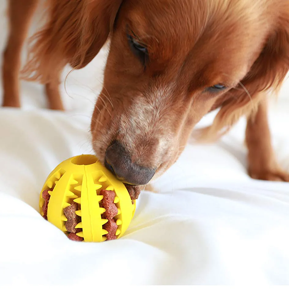5cm/7cm new pet watermelon ball toy dog toy ball interactive bouncing ball natural rubber leaking ball tooth cleaning ball
5cm/7cm new pet watermelon ball toy dog toy ball interactive bouncing ball natural rubber leaking ball tooth cleaning ball