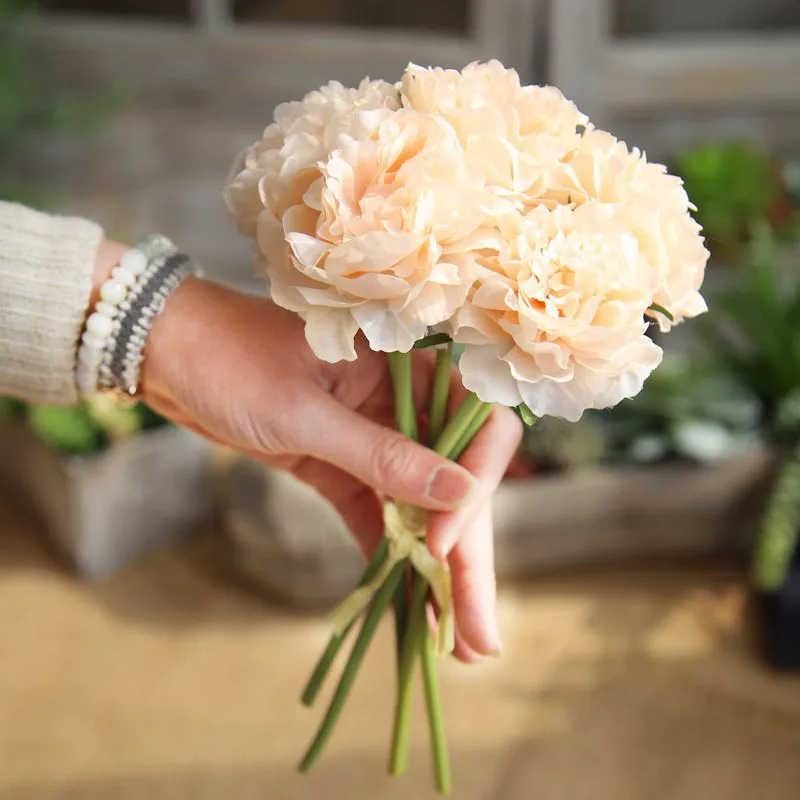 TN Peony Hydrangea Artificial Plants Home Decoration Dining Table Coffee Wedding Hand Bouquet Artificial Flower 1 Bunch 5 Head
TN Peony Hydrangea Artificial Plants Home Decoration Dining Table Coffee Wedding Hand Bouquet Artificial Flower 1 Bunch 5 Head