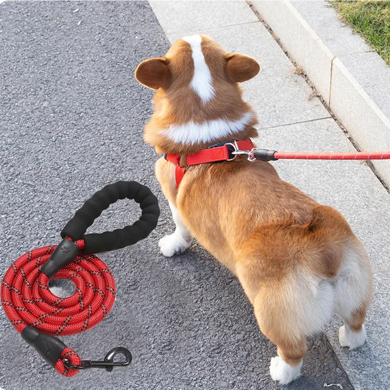 1.5m Long and 1.2cm Lhick Reflective Nylon Dog Leashes Traction Rope Durable Puppy Walking Leads Adjusted Flexibly Pet Supplies
1.5m Long and 1.2cm Lhick Reflective Nylon Dog Leashes Traction Rope Durable Puppy Walking Leads Adjusted Flexibly Pet Supplies
