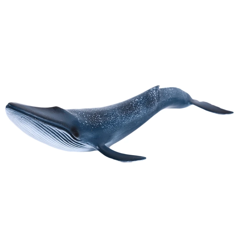 Simulation Marine Animal Models Solid Simulation Of Whale Narwhal Educational Figurine Kids Cognitive Toys Animals & Nature
Simulation Marine Animal Models Solid Simulation Of Whale Narwhal Educational Figurine Kids Cognitive Toys Animals & Nature