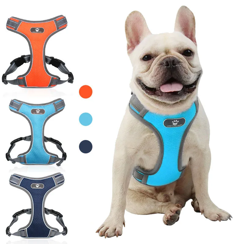 No Pull Dog Harness and Leash Set Adjustable Pet Harness Vest For Small Dogs Cats Reflective Mesh Dog Chest Strap French Bulldog
No Pull Dog Harness and Leash Set Adjustable Pet Harness Vest For Small Dogs Cats Reflective Mesh Dog Chest Strap French Bulldog