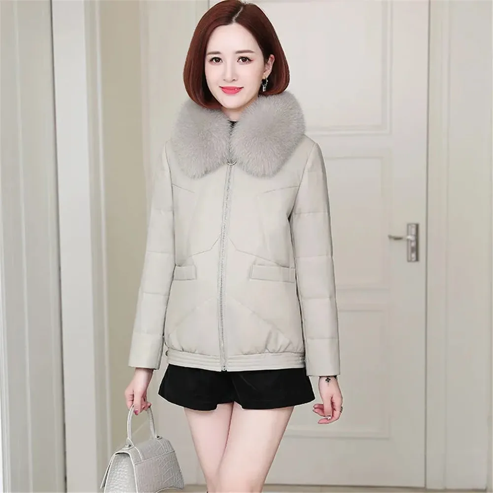 Зимнее женское пальто из искусственной кожи, новинка 2021, модное короткое утепленное хлопковое однотонное повседневное приталенное высокок...
Зимнее женское пальто из искусственной кожи, новинка 2021, модное короткое утепленное хлопковое однотонное повседневное приталенное высокок...