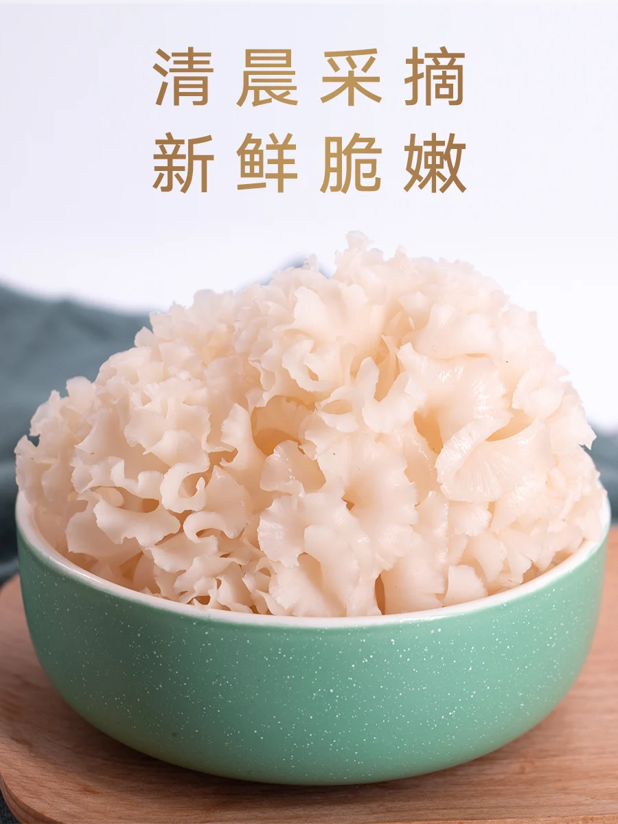Coccus of fresh embroidered 2 jins of yunnan specialty fresh silk fungus mushroom mushroom mushroom not dry
Coccus of fresh embroidered 2 jins of yunnan specialty fresh silk fungus mushroom mushroom mushroom not dry
