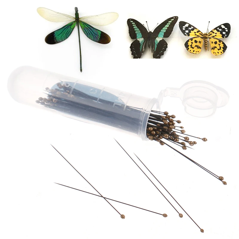 100pcs Black Stainless Steel Insect Iins Specimen Pins for School Lab Education Wholesale
100pcs Black Stainless Steel Insect Iins Specimen Pins for School Lab Education Wholesale