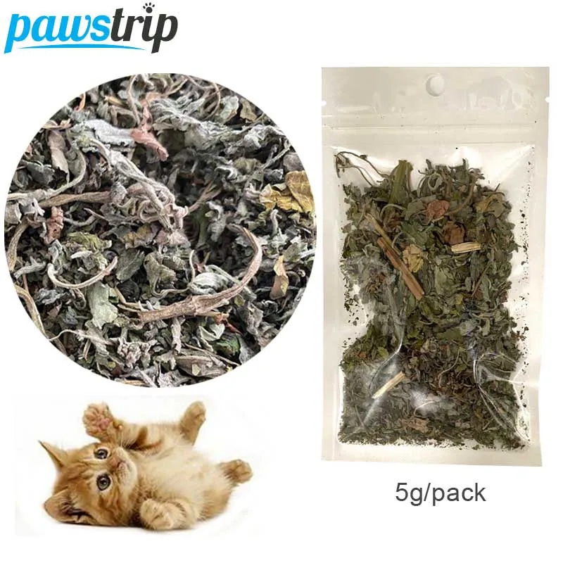 Кошачья игрушка кошачья кошечка натуральная Органическая Премиум кошачья мята кошка Мятная трава ментол можно посыпать на игрушки и кошач... 
Кошачья игрушка кошачья кошечка натуральная Органическая Премиум кошачья мята кошка Мятная трава ментол можно посыпать на игрушки и кошач...