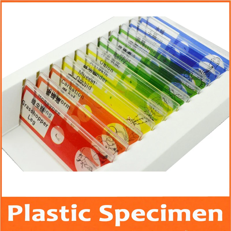 Birthday Gift 12pcs Students Children Educational Plastic Prepared Microscope Slides Biological Specimen for Toy Kids Microscope 
Birthday Gift 12pcs Students Children Educational Plastic Prepared Microscope Slides Biological Specimen for Toy Kids Microscope