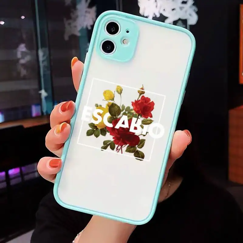 Flower text art Phone Case Clear Funda matte transparent For blue iPhone 7 8 x xs xr 11 12 pro plus max mini
Flower text art Phone Case Clear Funda matte transparent For blue iPhone 7 8 x xs xr 11 12 pro plus max mini