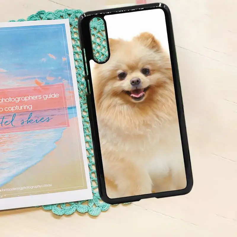 Pomeranian dogs dog animal Phone Case PC for iPhone 11 12 pro XS MAX 8 7 6 6S Plus X 5S SE 2020 XR
Pomeranian dogs dog animal Phone Case PC for iPhone 11 12 pro XS MAX 8 7 6 6S Plus X 5S SE 2020 XR