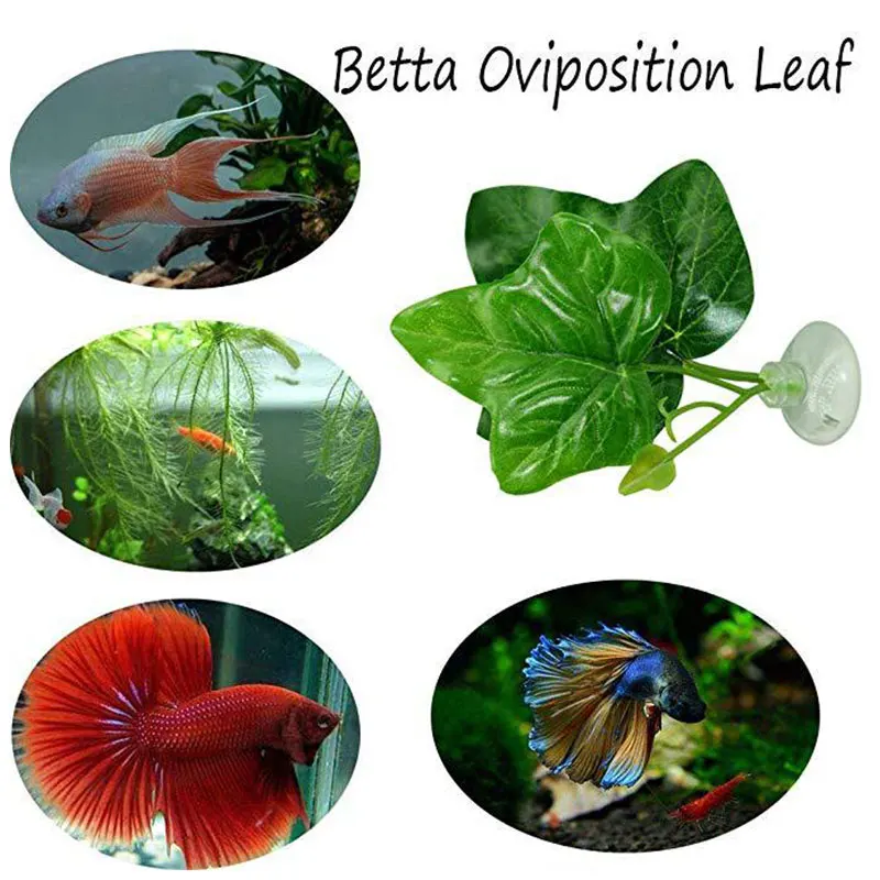 Artificial Aquarium Leaf Decoration Betta Fish Rest Spawning Ornamental Plant Betta Fish Play Relax Hide Leaf Hammock Landscape
Artificial Aquarium Leaf Decoration Betta Fish Rest Spawning Ornamental Plant Betta Fish Play Relax Hide Leaf Hammock Landscape