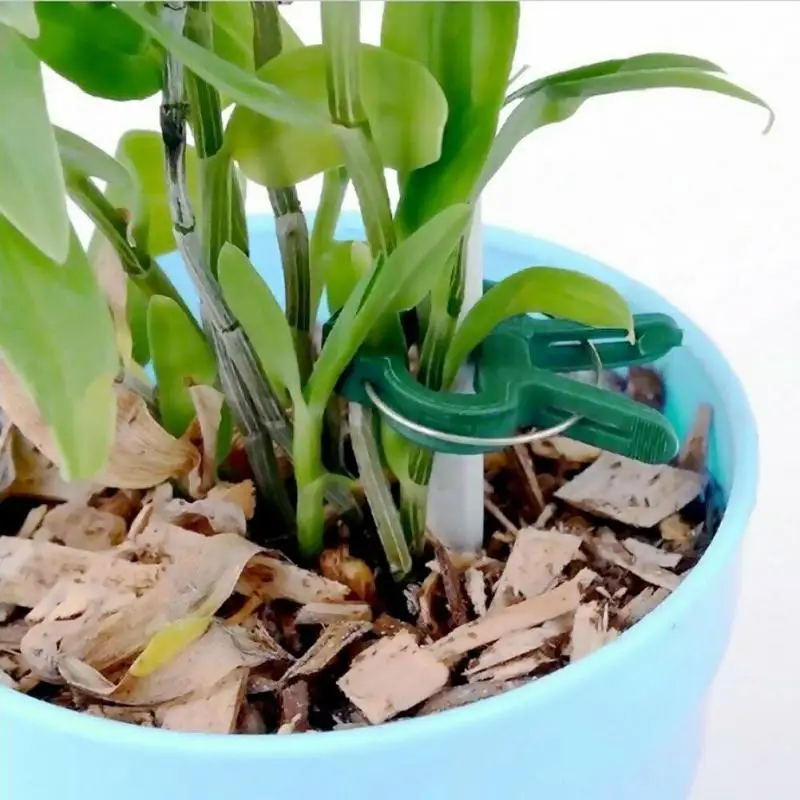 20 Pcs Reusable Garden Plant Fixed Clip Support Fastener Vegetables Flowers Bound Clamp Garden Accessories Wholesale 
20 Pcs Reusable Garden Plant Fixed Clip Support Fastener Vegetables Flowers Bound Clamp Garden Accessories Wholesale