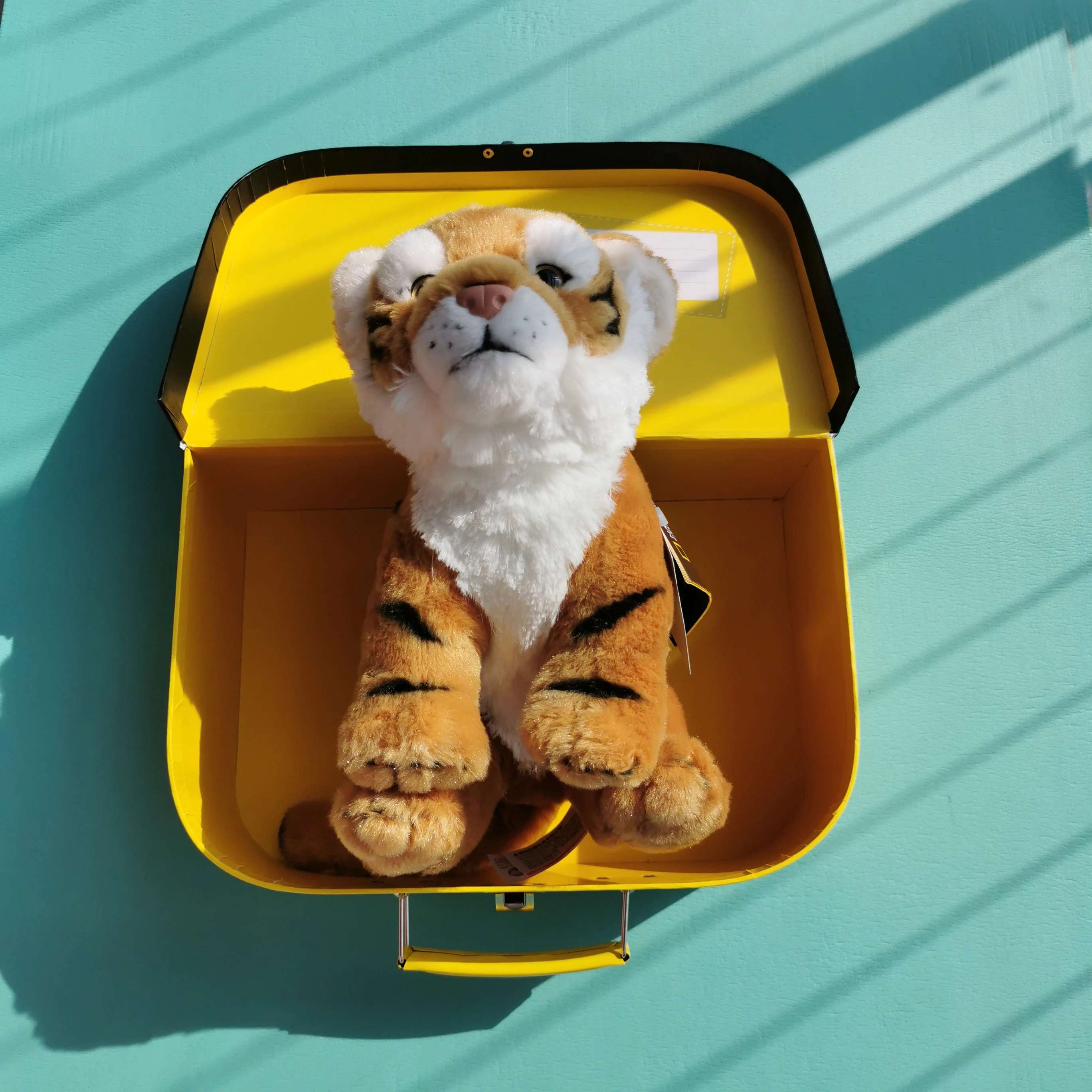 Плюшевый тигр, 9 дюймов, игрушки для детей с коробкой NG, Плюшевые тигры, игрушки для рождественских подарков
Плюшевый тигр, 9 дюймов, игрушки для детей с коробкой NG, Плюшевые тигры, игрушки для рождественских подарков