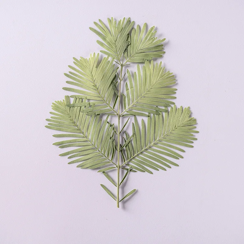 12pcs/pack Pressed Dried Metasequoia Necklace Jewelry Making Craft Embossing Phone Case Bookmark Postcard Wedding Decoration
12pcs/pack Pressed Dried Metasequoia Necklace Jewelry Making Craft Embossing Phone Case Bookmark Postcard Wedding Decoration