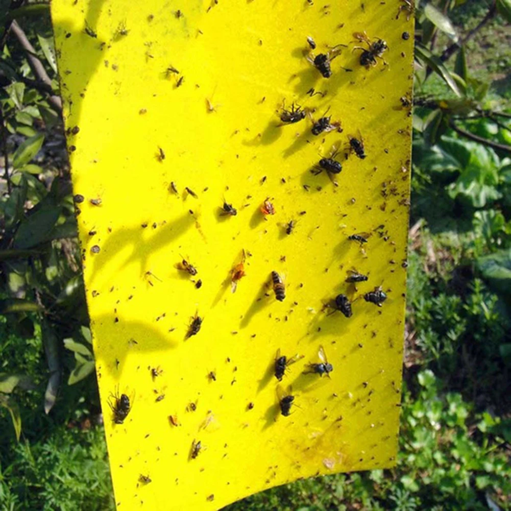 50pcs Aphid Insects Sticky Board Pest Killer Outdoor Indoor Strong Flies Traps Dual-Sided Whitefly Thrip Glue Sticker
50pcs Aphid Insects Sticky Board Pest Killer Outdoor Indoor Strong Flies Traps Dual-Sided Whitefly Thrip Glue Sticker