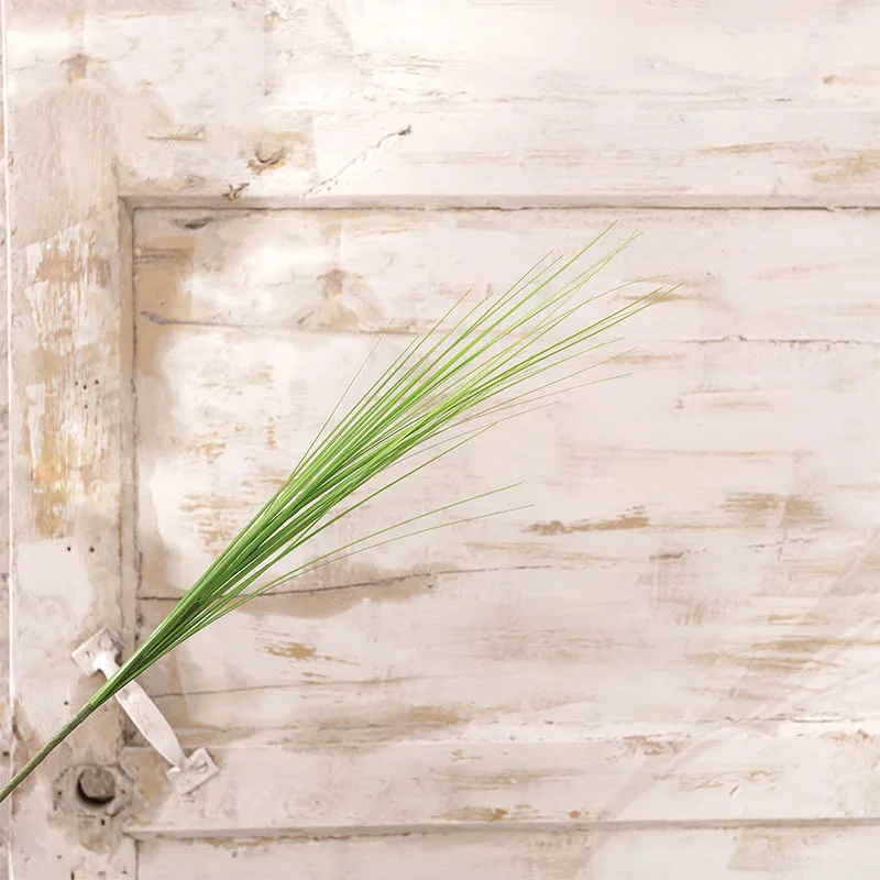 5Pcs/lot Artificial Plants PVC Onion Grass Pot Decoration Home Flower Arrangement Fake Grass Garden Decoration Plants
5Pcs/lot Artificial Plants PVC Onion Grass Pot Decoration Home Flower Arrangement Fake Grass Garden Decoration Plants