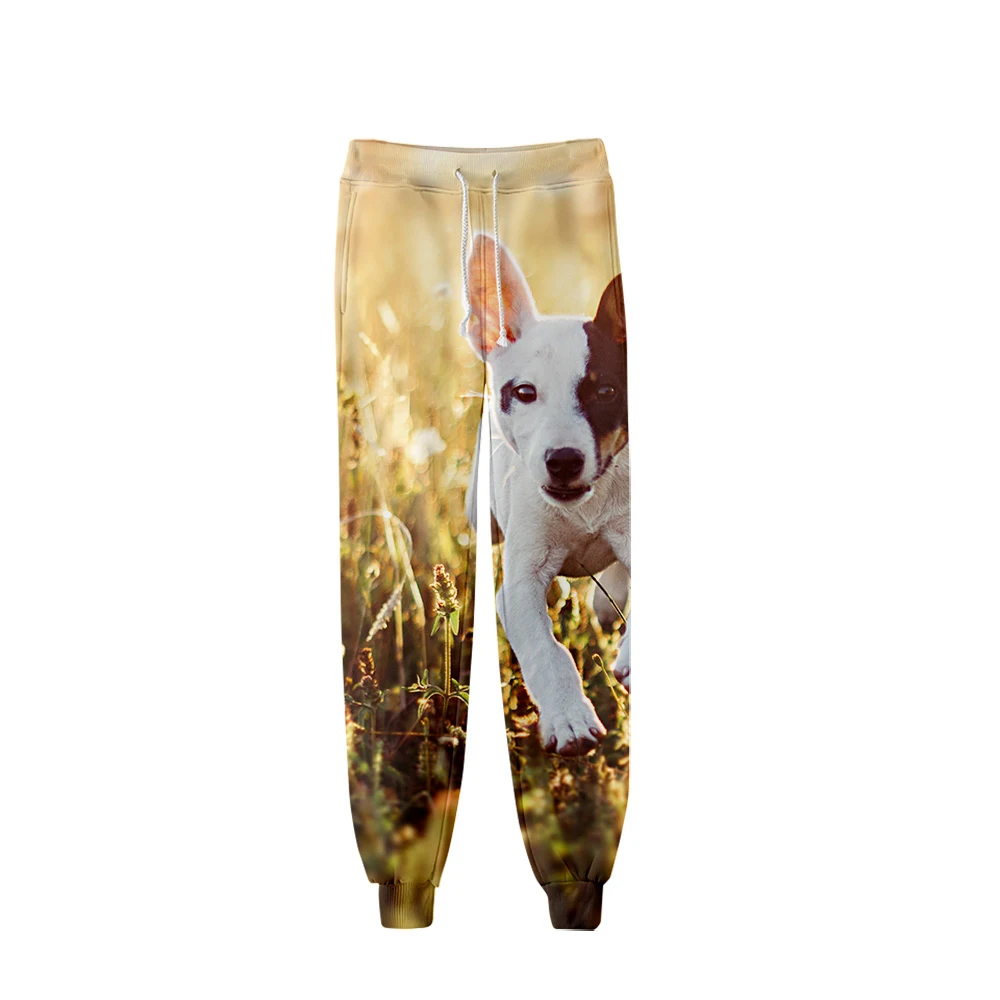 2021 cute dog 3D printed hip-hop jogging pants unisex fashion streetwear trousers casual animal sweatpants good quality xxs-4xl
2021 cute dog 3D printed hip-hop jogging pants unisex fashion streetwear trousers casual animal sweatpants good quality xxs-4xl