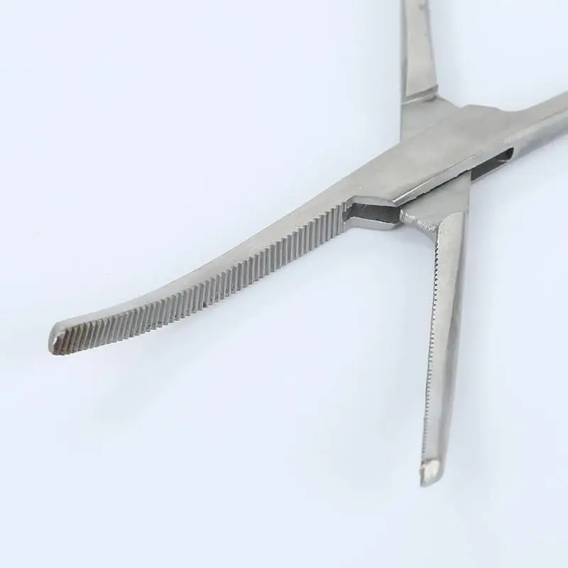 1pc 18cm 7" Stainless Steel Locking Elbow Plier Scissors Fishing Locking Pliers Epilation Tools Fishing Decoupling Device
1pc 18cm 7" Stainless Steel Locking Elbow Plier Scissors Fishing Locking Pliers Epilation Tools Fishing Decoupling Device