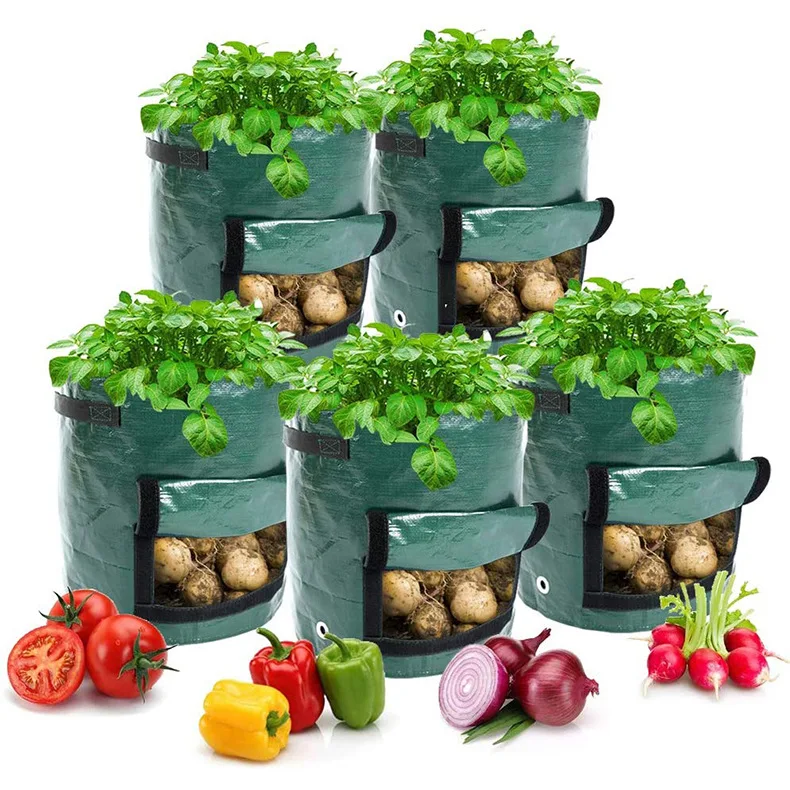 Potato Cultivation Planting Woven Fabric Bags Garden Pots Planters Vegetable Planting Bag
Potato Cultivation Planting Woven Fabric Bags Garden Pots Planters Vegetable Planting Bag