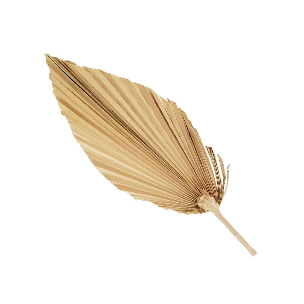 Festive & Party Supplies
Festive & Party Supplies