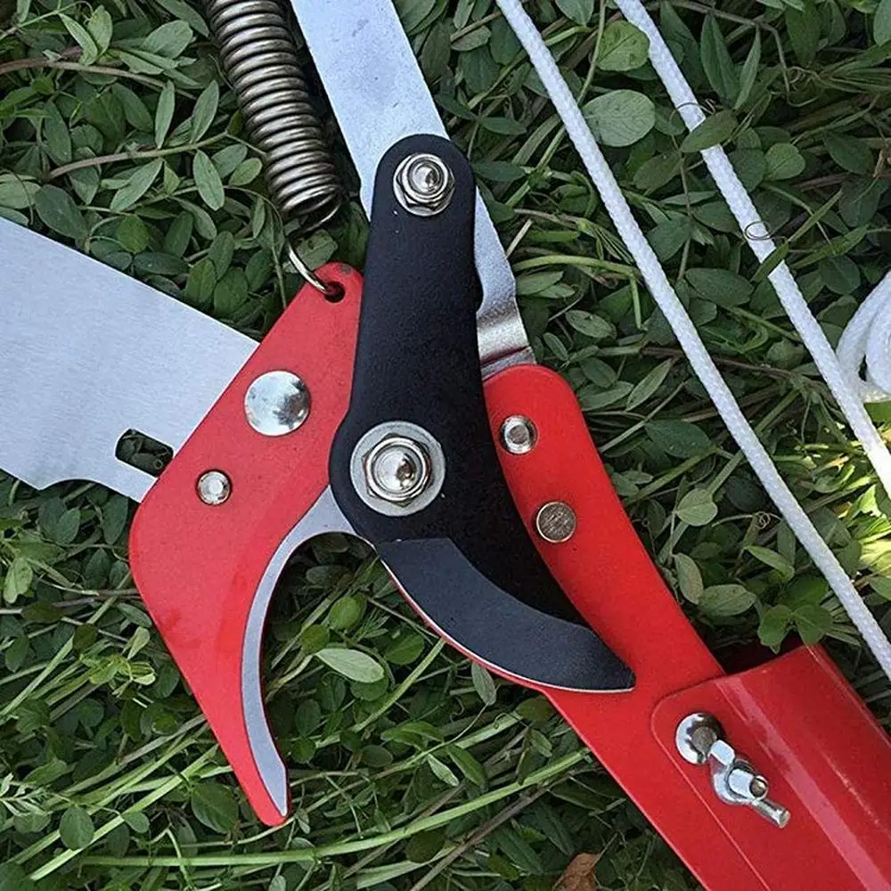 Stainless Steel Pruning Shears Gardening Grafting Tools Fruit Tree Pruning Tools Non-slip Spring Shears Pruning Shears
Stainless Steel Pruning Shears Gardening Grafting Tools Fruit Tree Pruning Tools Non-slip Spring Shears Pruning Shears