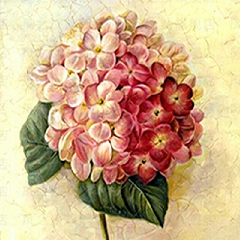 Diy 5d Diamond Painting Cross Stitch A Bunch Of Red Flowers Paint With Diamond Embroidery Living Room Home Decor
Diy 5d Diamond Painting Cross Stitch A Bunch Of Red Flowers Paint With Diamond Embroidery Living Room Home Decor