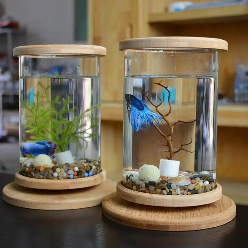 1pcs Glass Betta Fish Tank Bamboo Base Mini Fish Tank Decoration Accessories Rotate Decoration Fish Bowl Aquarium Accessories
1pcs Glass Betta Fish Tank Bamboo Base Mini Fish Tank Decoration Accessories Rotate Decoration Fish Bowl Aquarium Accessories