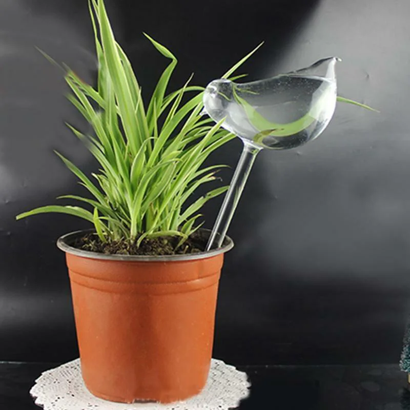 Self Watering Globe Plant Flower Water Bulbs Bird Shape Glass Home Decor Hot Sale Watering Kits Watering Irrigation
Self Watering Globe Plant Flower Water Bulbs Bird Shape Glass Home Decor Hot Sale Watering Kits Watering Irrigation