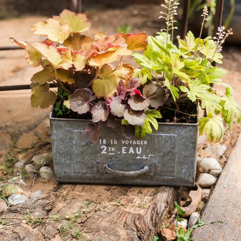 Vintage Shabby Chic Rectangle Galvanized Zinc Drawer Planter Box Metal Planter Box
Vintage Shabby Chic Rectangle Galvanized Zinc Drawer Planter Box Metal Planter Box
