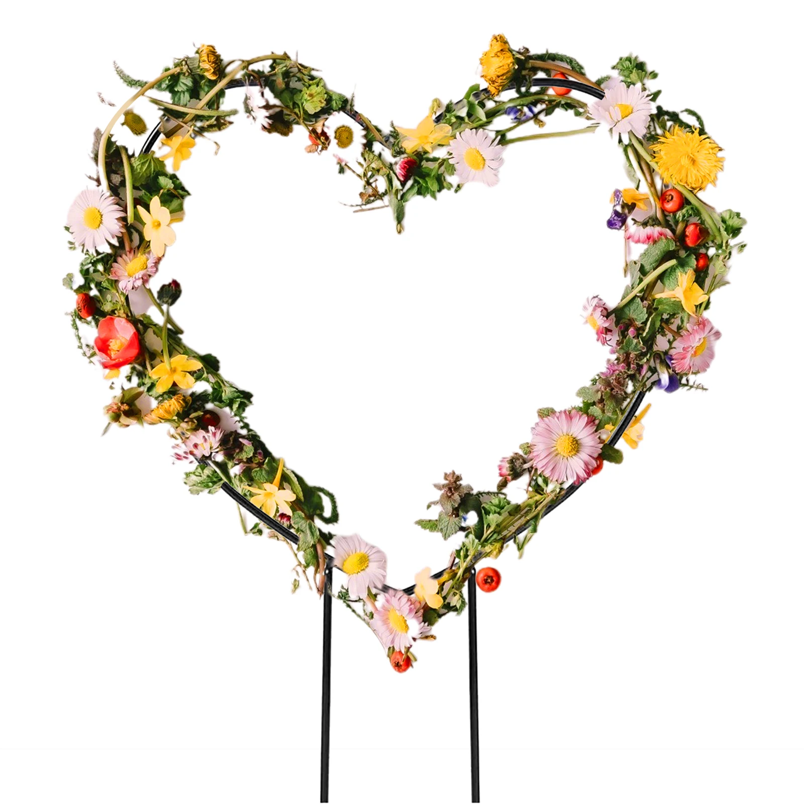 Heart Shaped Plants Pot Trellis Topper Stalks Vine Rack Stem Support Flower Stand Anti-rust For Both Indoor And Outdoo
Heart Shaped Plants Pot Trellis Topper Stalks Vine Rack Stem Support Flower Stand Anti-rust For Both Indoor And Outdoo